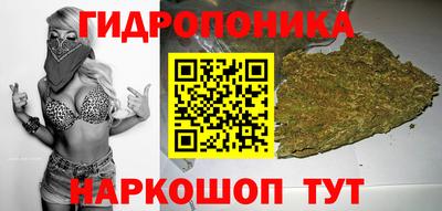 МДМА Новозыбков