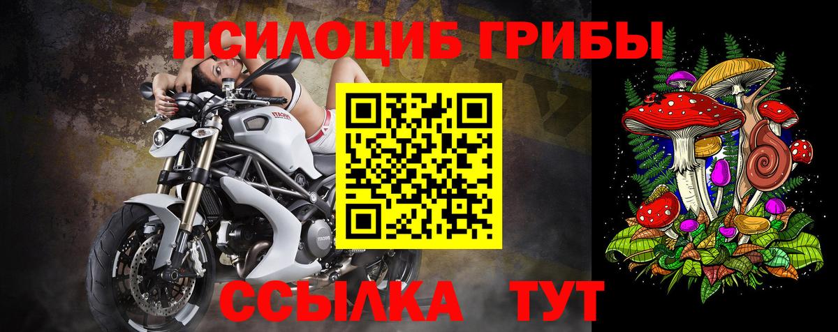 Галлюциногенные грибы MAGIC MUSHROOMS  Вход с VPN  Улан-Удэ  Псилоцибиновые грибы GOLDEN TEACHER 